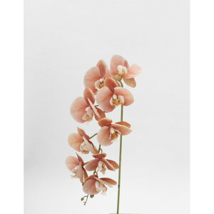 yԁzr_R/t@mvVX sN/V24127-002Py01z[6{] ԁiA[eBtBVt[j  ԍށusv R`EiӒj