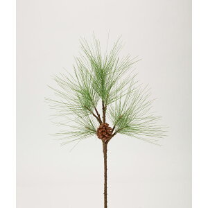 yԁzr_R/() O[/1937GW-024Gy01z[12{] ԁiA[eBtBVt[j Ԏ} 