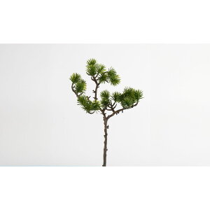 yԁzr_R/ܗt O[/V25145-024Gy01z[24{] ԁiA[eBtBVt[j Ԏ} 