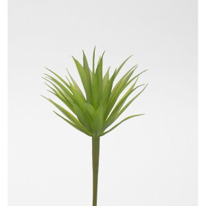 yԁzr_R/Planeco TbJ Cg/O[/VR24022-023LT/Gy01z[12{] ԁiA[eBtBVt[j ԗtAtFCNO[ A