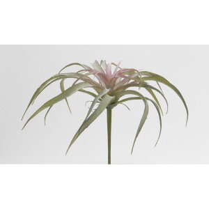 yԁzr_R/Planeco eBWA(L) bh/VR24024-003Ry01z[6{] ԁiA[eBtBVt[j ԗtAtFCNO[ A