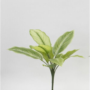 yԁzr_R/Planeco fBtFoLAubV Cg/O[/VR24065-023LT/Gy01z[12{] ԁiA[eBtBVt[j ԗt fBtFoLA