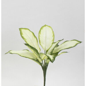 yԁzr_R/Planeco fBtFoLAubV zCg/O[/VR24065-272W/Gy01z[12{] ԁiA[eBtBVt[j ԗt fBtFoLA