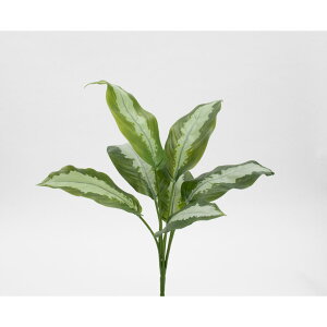 yԁzr_R/Planeco fBtFoLAubV O[/VR24069-024Gy01z[12{] ԁiA[eBtBVt[j ԗt fBtFoLA