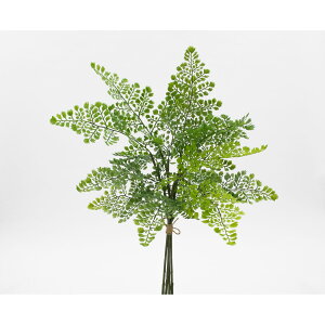 yԁzr_R/Planeco AWA^oh O[/VR24080-024Gy01z ԁiA[eBtBVt[j ԗtAtFCNO[ t@[