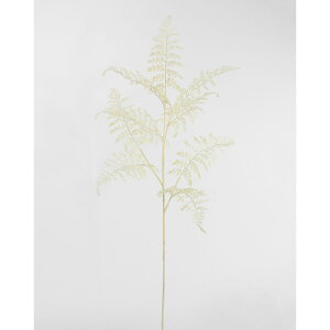 yԁzr_R/Planeco AWA^Xv[ zCg/VR24157-001Wy01z[12{] ԁiA[eBtBVt[j ԗtAtFCNO[ t@[