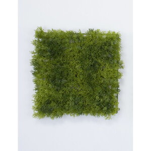 yԁzr_R/Planeco CfBAX}bg O[/VR24167-024Gy01z[6] ԁiA[eBtBVt[j ԗtAtFCNO[ ہAX