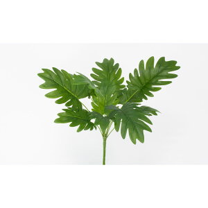 yԁzr_R/Planeco Z[ubV O[/VR25072-024Gy01z[12{] ԁiA[eBtBVt[j ԗtAtFCNO[ ̑̑ԗtEtFCNO[