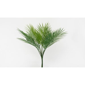 yԁzr_R/Planeco AJp[ubV O[/VR25075-024Gy01z ԁiA[eBtBVt[j ԗtAtFCNO[ V