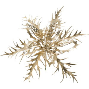 YDM/GKg|CZ`AsbNCHP/CVD-173y01z ԎށEt[Xg t[sbN NX}XsbN