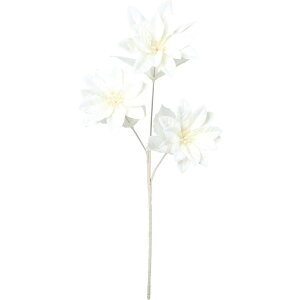 yԁzYDM/l[W|CZ`AXv[ N[/FS-6347-CRy01z ԁiA[eBtBVt[j  ԍށu͍sv |CZ`A