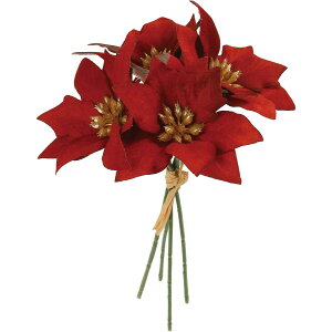 yԁzYDM/xxbg|CZ`AsbN4P o[KfB[/FS-6341-BURy01z ԁiA[eBtBVt[j  ԍށu͍sv |CZ`A