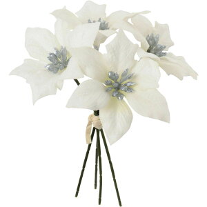 yԁzYDM/xxbg|CZ`AsbN4P zCg/FS-6341-Wy01z ԁiA[eBtBVt[j  ԍށu͍sv |CZ`A