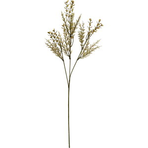 yԁzYDM/m[u~bNXRjt@[Xv[ uE/FG-5432-BRy01z ԁiA[eBtBVt[j ԗtAtFCNO[ ~AWjp[