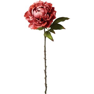 yԁzYDM/ZXeBAVOsIj[ [u/FA-7578-MAVy01z ԁiA[eBtBVt[j  ԍށusv VNNi䉖jE{^iOjEsIj[