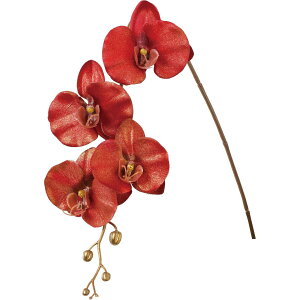 yԁzYDM/ubVR`E _[Nbh/FS-5488-D/Ry01z ԁiA[eBtBVt[j  ԍށusv R`EiӒj