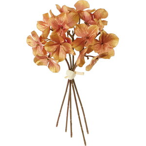 yԁzYDM/ubVAWTCoh5P N[x_[/FS-5494-C/Ly01z ԁiA[eBtBVt[j  ԍށusv izԁj