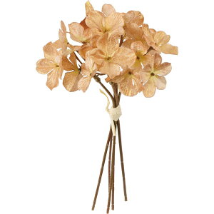 yԁzYDM/ubVAWTCoh5P N[/FS-5494-CRy01z ԁiA[eBtBVt[j  ԍށusv izԁj