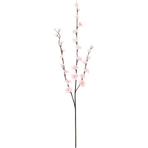 yΖӃZ[zyԁzYDM/} sN/FS-5472-Py01z ԁiA[eBtBVt[j  ԍށu܍sv ij