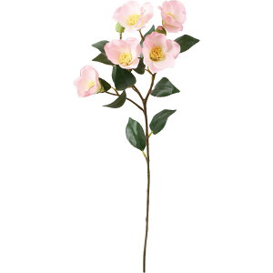 yԁzYDM/փXv[ CgsN/FS-5467-L/Py01z ԁiA[eBtBVt[j  ԍށusv coLiցj