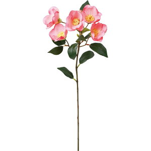 yԁzYDM/փXv[ sN/FS-5467-Py01z ԁiA[eBtBVt[j  ԍށusv coLiցj