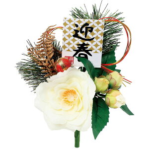 yԁzYDM/}tփubV/FS-5500-Wy01z ԁiA[eBtBVt[j  ԍށusv coLiցj