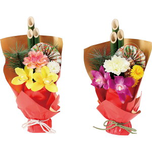 yԁzYDM/叼AWMVr2AST 2fUCA\[g fUCw肷邱Ƃ͂ł܂/FS-5511-ASTy01z ԁiA[eBtBVt[j ԃMtg t[AW