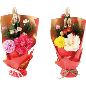 yԁzYDM/叼AWJMsIj[2AST 2fUCA\[g fUCw肷邱Ƃ͂ł܂/FS-5512-ASTy01z ԁiA[eBtBVt[j ԃMtg t[AW