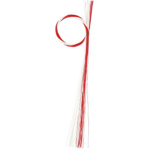 YDM/FOx[X R/W/NA-285y01z ԎށEt[Xg fR[Vp[cEf 