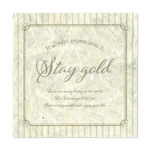 cazaro/\y[p[bZ[WJ[h 100p STAY GOLDx[W 10 /36P101P0303y07z bsOpi A bZ[WJ[h O[eBOJ[h