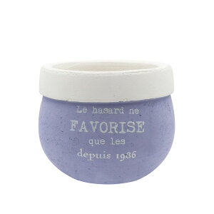 CARNAC/ptc[gEhL-BL u[/CP2512BLy01z K[fjOE|pi AؔEt[|bg eRb^(fĂ)