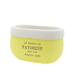 Aؔ  CARNAC/ptc[gI[oYE CG[/CP2513YEy01z K[fjOE|pi t[|bg eRb^(fĂ)