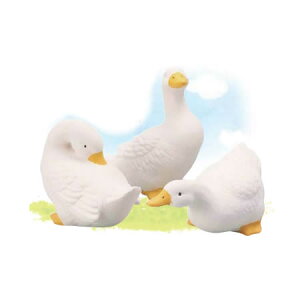 GC`c[I[/AqS@3A\[g/HT7753y01z[15] K[fjOE|pi K[fjOG݁EI[ig uEI[ig