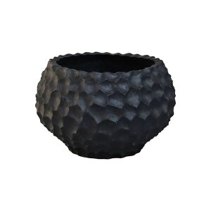 Aؔ  ~[~/KCVE{EL/CO-015LBky01z K[fjOE|pi t[|bg OXt@Co[