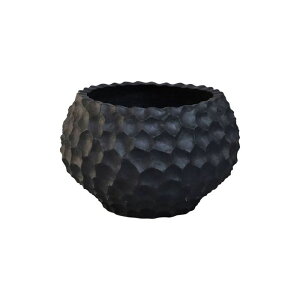 Aؔ  ~[~/KCVE{ES/CO-015SBky01z K[fjOE|pi t[|bg OXt@Co[