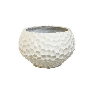 Aؔ  ~[~/KCVE{ES/CO-015SWhy01z K[fjOE|pi t[|bg OXt@Co[