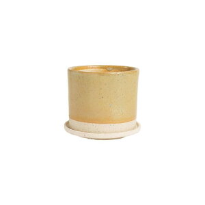 Aؔ  ~[~/V_[S/BJ-041SYey01z[6] K[fjOE|pi t[|bg EZ~bN