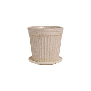 Aؔ  ~[~/CsNM/BJ-042MPiy01z[4] K[fjOE|pi t[|bg EZ~bN