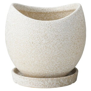 Aؔ  FV/Nu{E|bgSSW(Mt)/TF316y01z K[fjOE|pi t[|bg EZ~bN