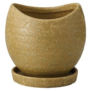 Aؔ  FV/Nu{E|bgSSBE(Mt)/TF317y01z K[fjOE|pi t[|bg EZ~bN