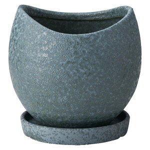 Aؔ  FV/Nu{E|bgSSBL(Mt)/TF318y01z K[fjOE|pi t[|bg EZ~bN