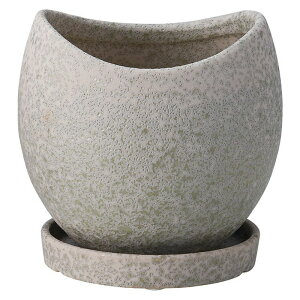 Aؔ  FV/Nu{E|bgSSGY(Mt)/TF319y01z K[fjOE|pi t[|bg EZ~bN