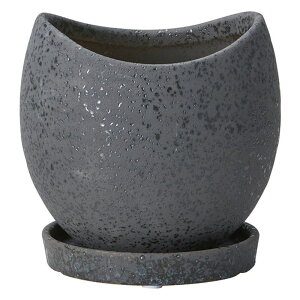 Aؔ  FV/Nu{E|bgSSB(Mt)/TF320y01z K[fjOE|pi t[|bg EZ~bN