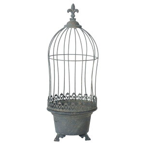 Aؔ  FV/OJ[WDGY/UF598y01z K[fjOE|pi t[|bg ACAEuL