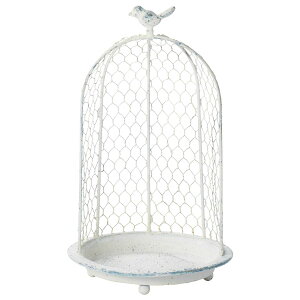 Aؔ  FV/eBGJ[WW/M922y01z K[fjOE|pi t[|bg 󂯎M