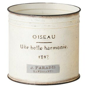 Aؔ  FV/WpfBT[NW/UN2320y01z K[fjOE|pi t[|bg ACAEuL