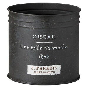 Aؔ  FV/WpfBT[NB/UN2323y01z K[fjOE|pi t[|bg ACAEuL