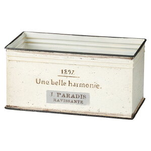 Aؔ  FV/WpfBChW/UN2324y01z K[fjOE|pi t[|bg ACAEuL