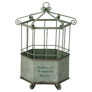 Aؔ  FV/J[W|bgGR/UN2318y01z K[fjOE|pi t[|bg ACAEuL