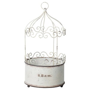 Aؔ  FV/A[r[|bgW/UN2360y01z K[fjOE|pi t[|bg ACAEuL